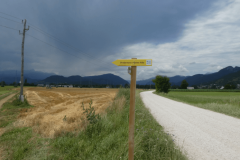 45-proti-vrbi