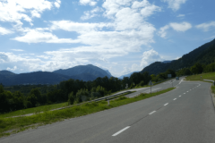 54-proti-blejski-dobravi