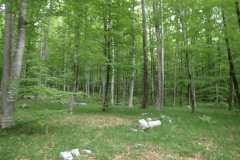 20-proti-podpeci