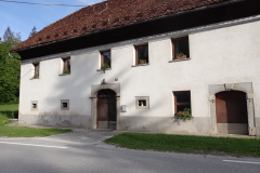 3-rasica