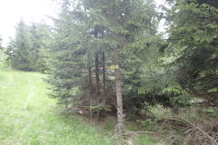 44-proti-krki