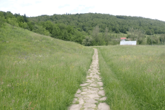 61-proti-izviru-krke