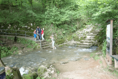 63-izvir-krke