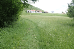 64-proti-muljavi