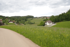 74-proti-muljavi