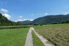 31-proti-tolminu