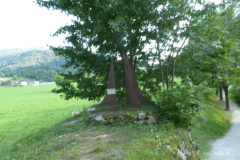 52-proti-mostu-soci