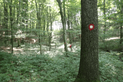 29-proti-kockemu-vrhu