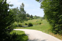 35-pesceni-vrh