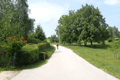 36-pesceni-vrh