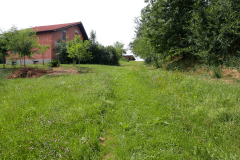 37-pesceni-vrh