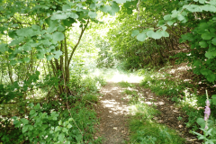 47-proti-cerkvenjaku