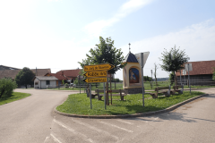 9-dragotinci