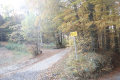 13-proti-krcevini-pri-vurbergu