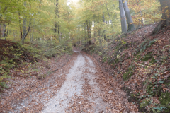 14-proti-krcevini-pri-vurbergu