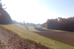 16-proti-krcevini-pri-vurbergu