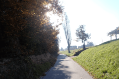 17-proti-krcevini-pri-vurbergu