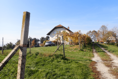34-krcevina-pri-vurbergu