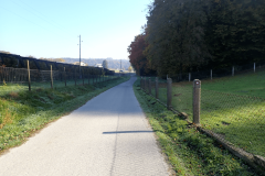 36-proti-krcevini-pri-ptuju