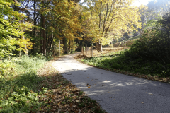 39-proti-krcevini-pri-ptuju