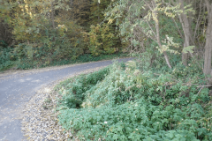 43-proti-stukom