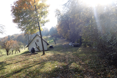 49-krcevina-pri-ptuju