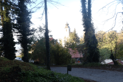 8-proti-krcevini-pri-vurbergu