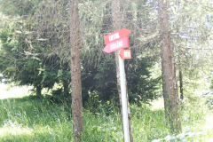 33-kopitnik