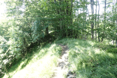 40-kopitnik