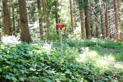 44-koca-kopitniku