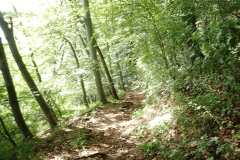61-zp-hrastnik