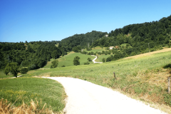 26-prapretno