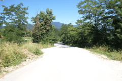 36-trbovlje