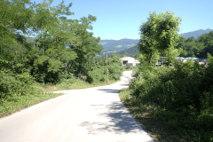 38-trbovlje