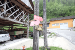 53-smerokaz-lese-tirna