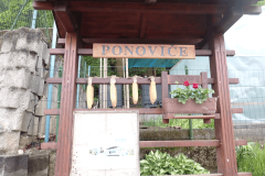 56-ponovice