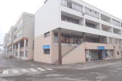 5-litija