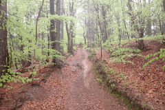 12-proti-veliki-vasi
