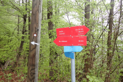 14-proti-veliki-vasi