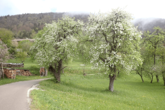 16-proti-veliki-vasi