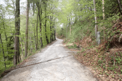 27-proti-muravici