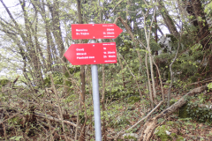 28-proti-muravici