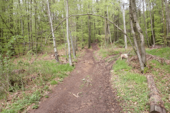 29-proti-muravici