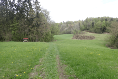 43-proti-kokosnjam