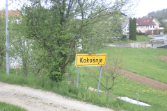 46-kokosnje
