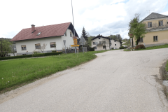 64-videm-pri-lukovici