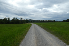 13-lesno-brdo
