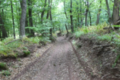 33-debeli-hrib