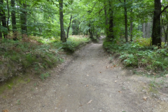 38-proti-podsmreki