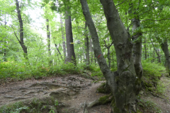 39-proti-podsmreki
